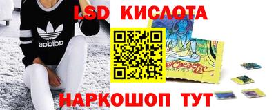 тгк Гай