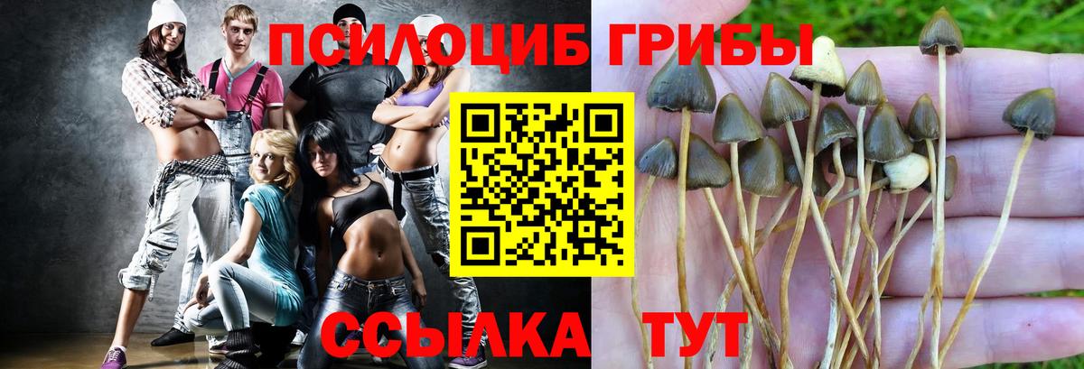 Медногорск  Галлюциногенные грибы MAGIC MUSHROOMS  Вход с VPN 